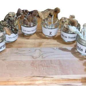 8 Strains Magic Mushroom Party Pack