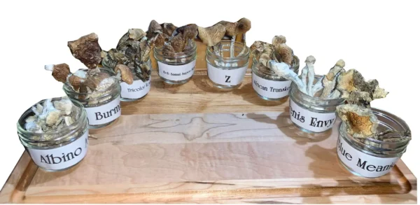 8 Strains Magic Mushroom Party Pack