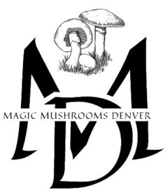 Magic Mushroom Store | Magic Mushroom Shop USA